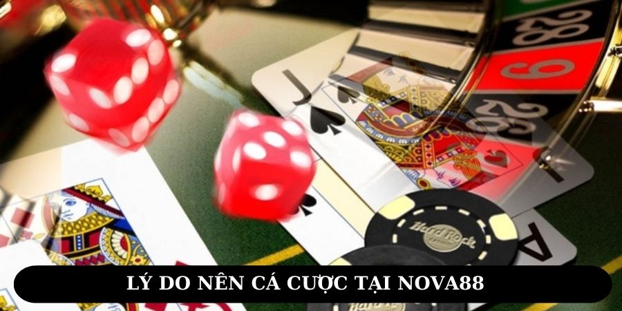 Lý do bạn nên cá cược tại NOVA88